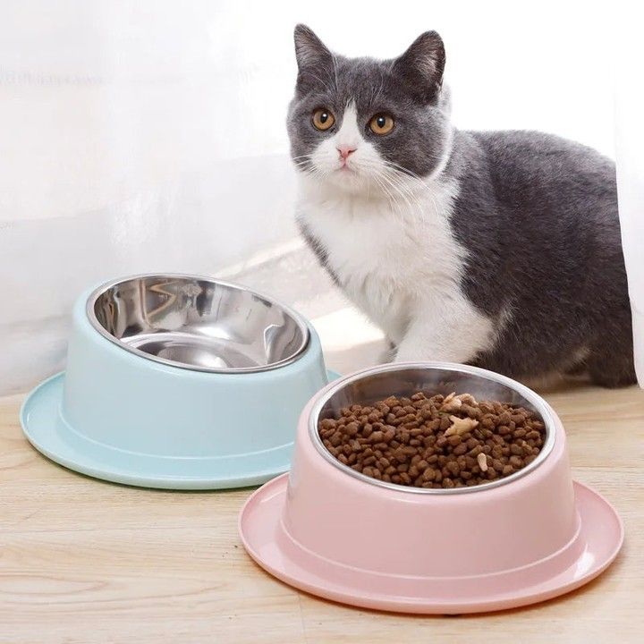 Bowls & Feeders