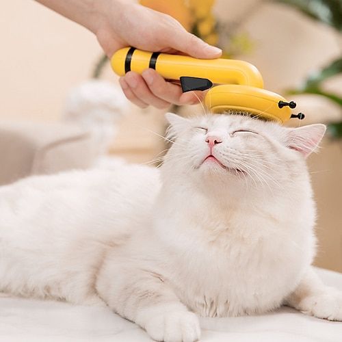 Grooming & Care