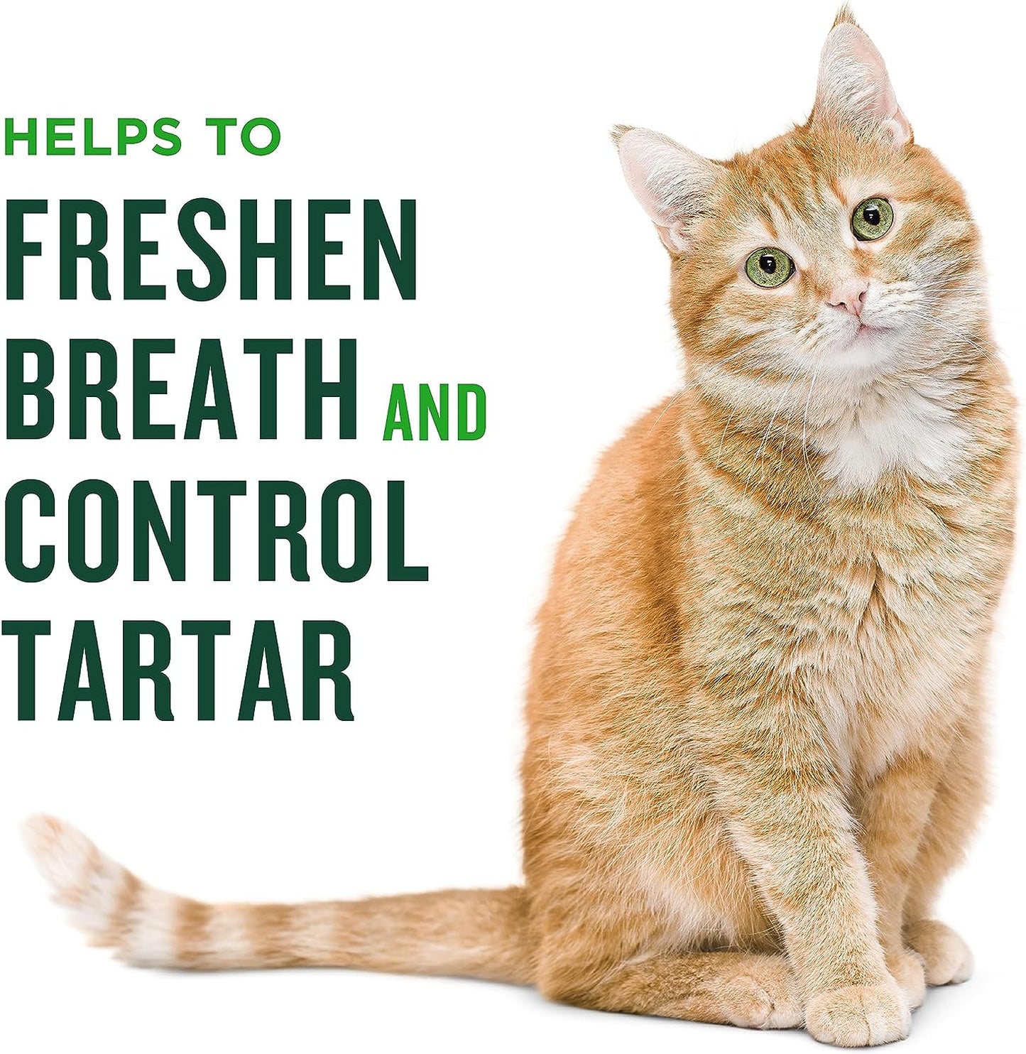 Salmon Dental Treats for Cats - Freshen Breath & Control Tartar, 10oz